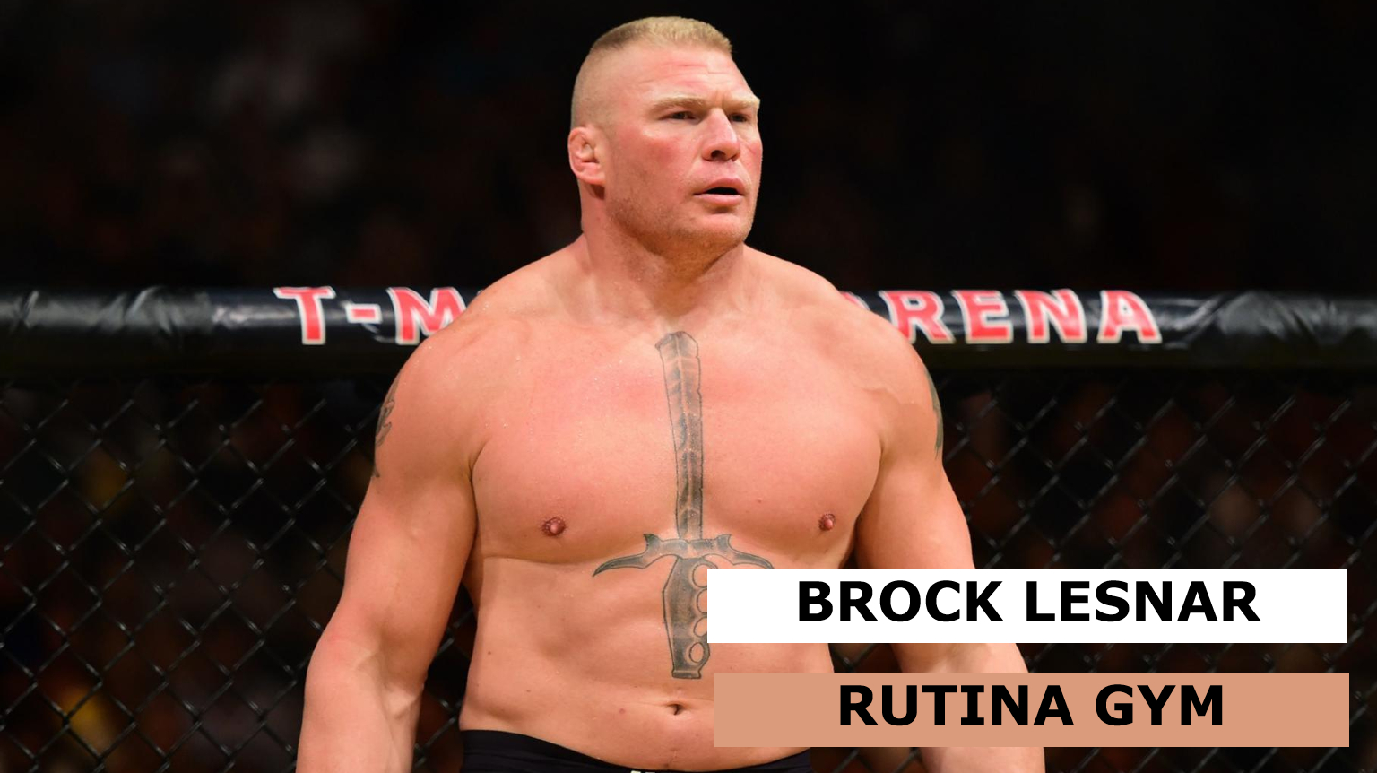 ✅ Rutina y dieta de Brock Lesnar -