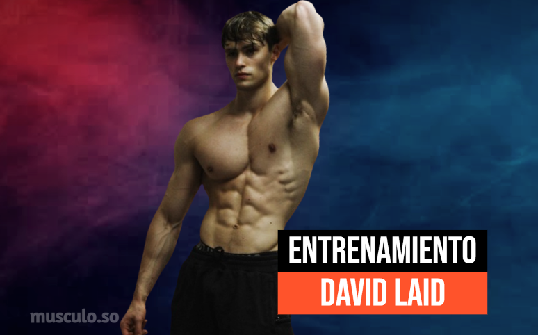 ✅ Rutina y dieta de David Laid